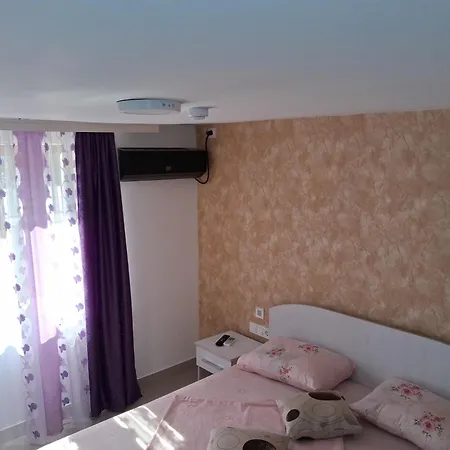 Casa Elena Penzion Două Mai