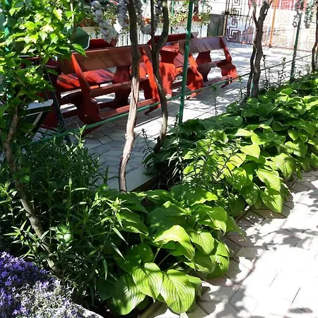 Pensiune Casa Elena