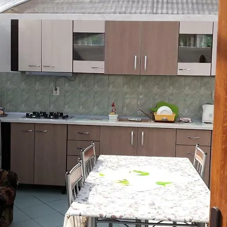 Casa Elena 4* Două Mai