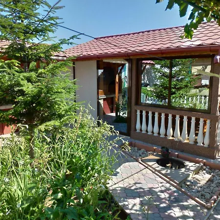 Casa Elena Penzion Două Mai