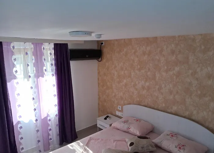 Casa Elena Gasthuis Două Mai